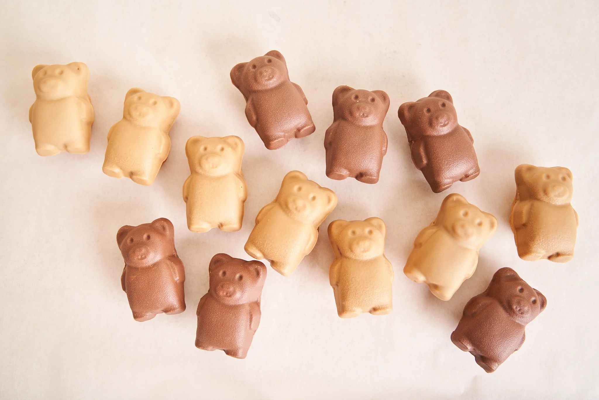 Teddy Bear Duo - Large Scale Orders — Lysee NYC